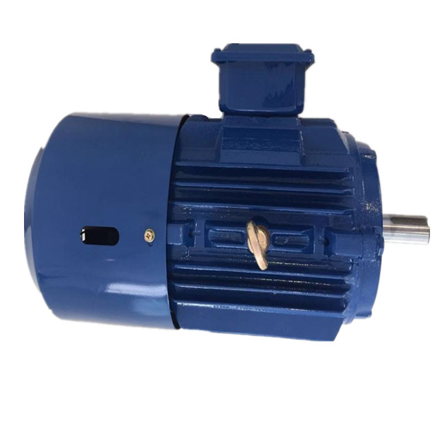 Fast delivery Speed Variator With Motor – Special production energy-saving motor  ye2100l1-4 three-phase asynchronous motor general mechanical equipment – Devo Gear